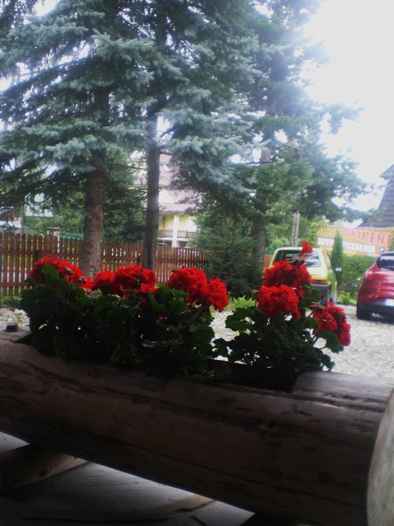 Pokoje Goscinne U Jaska Zab Exterior foto
